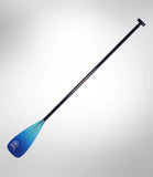 Werner Zen 95 Adjustable Straight Shaft 2 Piece Leverlock